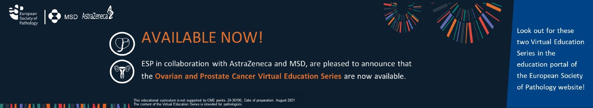 Ovarian and Prostate Cancer Virtual Education Series - now available