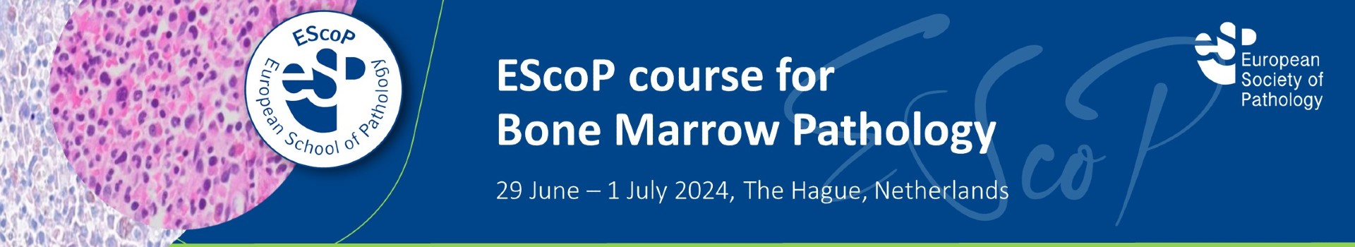 EScoP course for Bone Marrow Pathology 