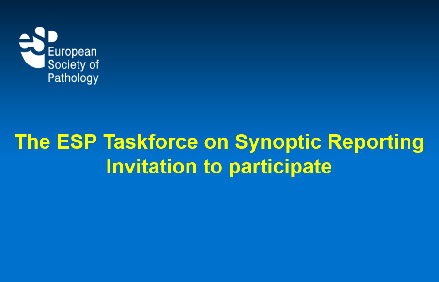 The ESP Taskforce on Synoptic Reporting - Invitation to participate