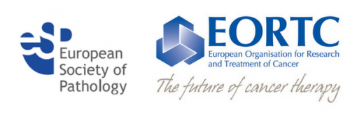 ESP-EORTC Joint Fellowship Awards