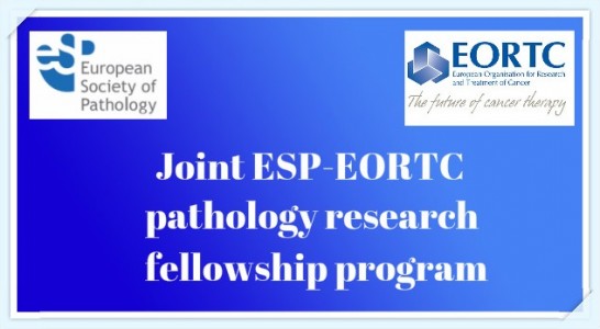 Joint ESP-EORTC pathology research fellowship program