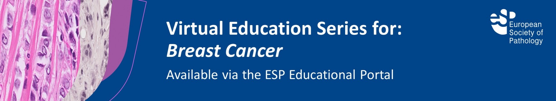 Virtual Education Series for Breast Cancer