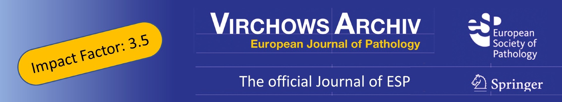 Virchows Archiv